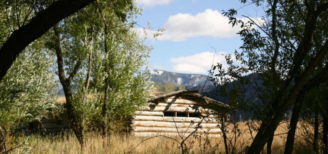 Montana (26)